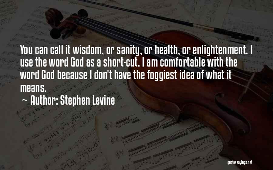 Stephen Levine Quotes 1886029