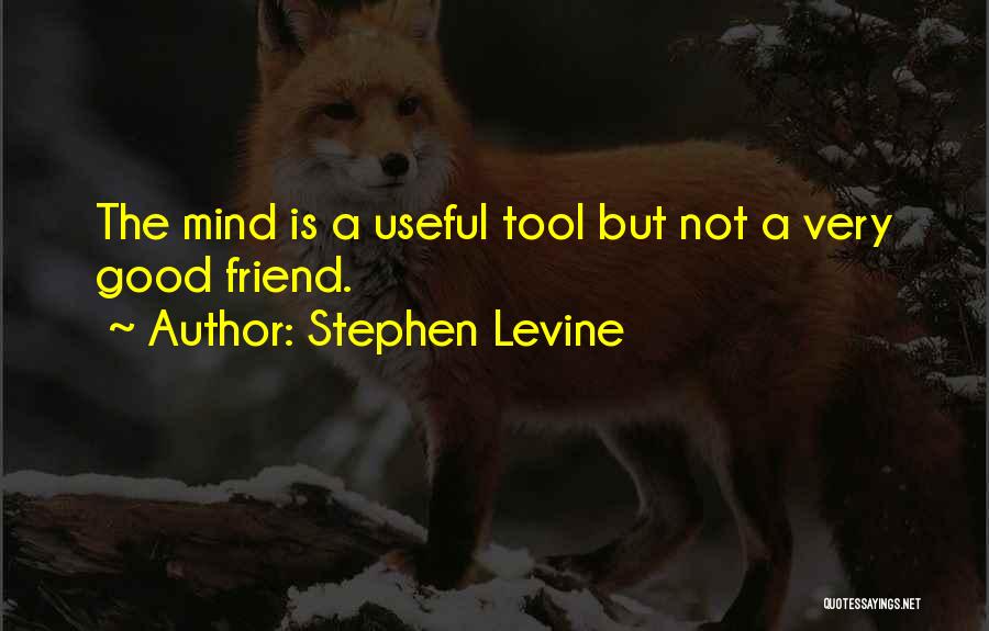 Stephen Levine Quotes 1902528