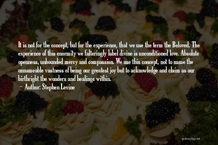 Stephen Levine Quotes 1977735