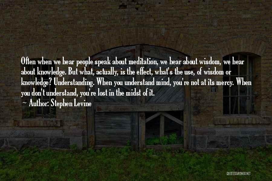 Stephen Levine Quotes 2099215
