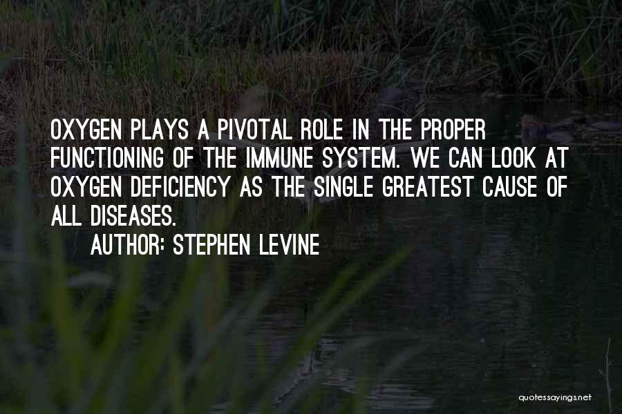 Stephen Levine Quotes 2198157