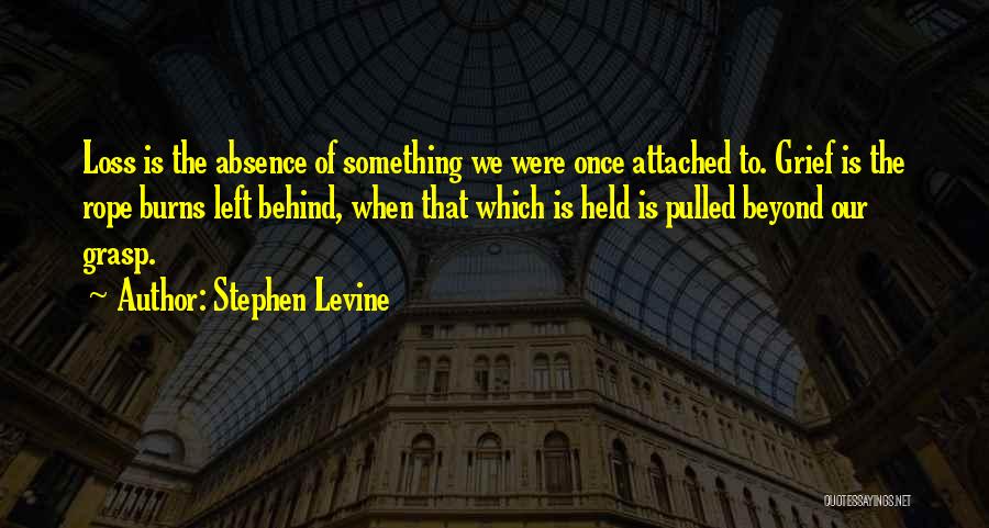 Stephen Levine Quotes 2226160