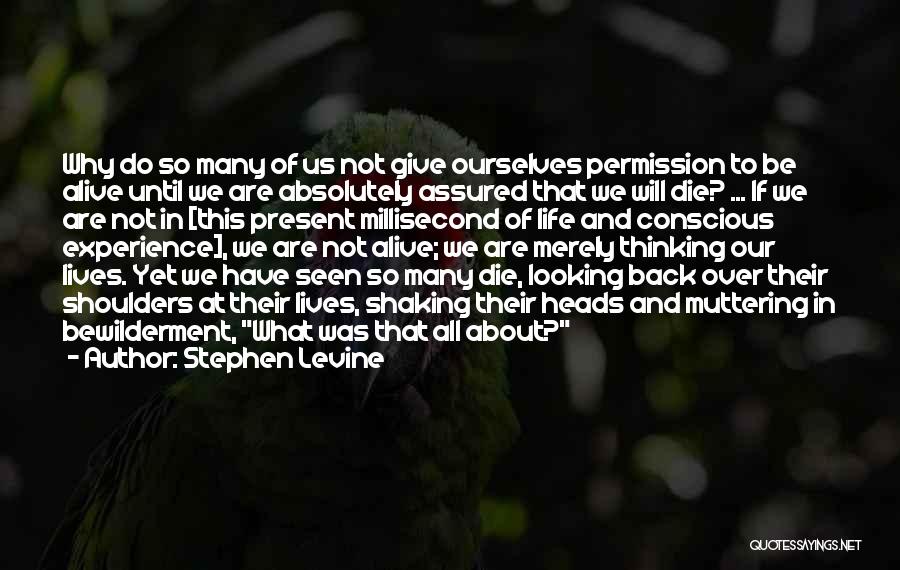 Stephen Levine Quotes 278715