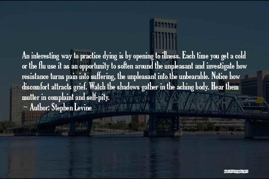 Stephen Levine Quotes 549207