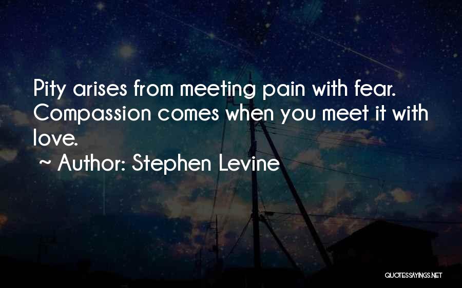 Stephen Levine Quotes 670033