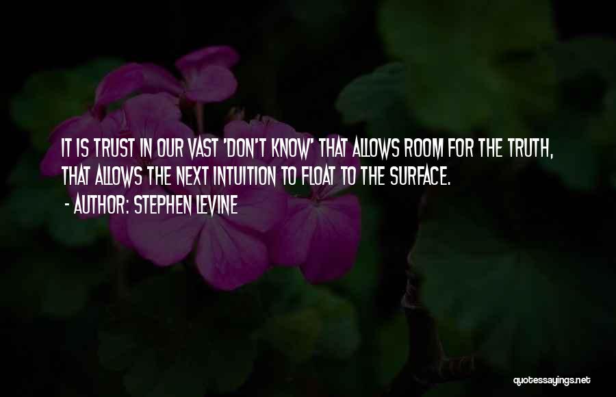 Stephen Levine Quotes 741853