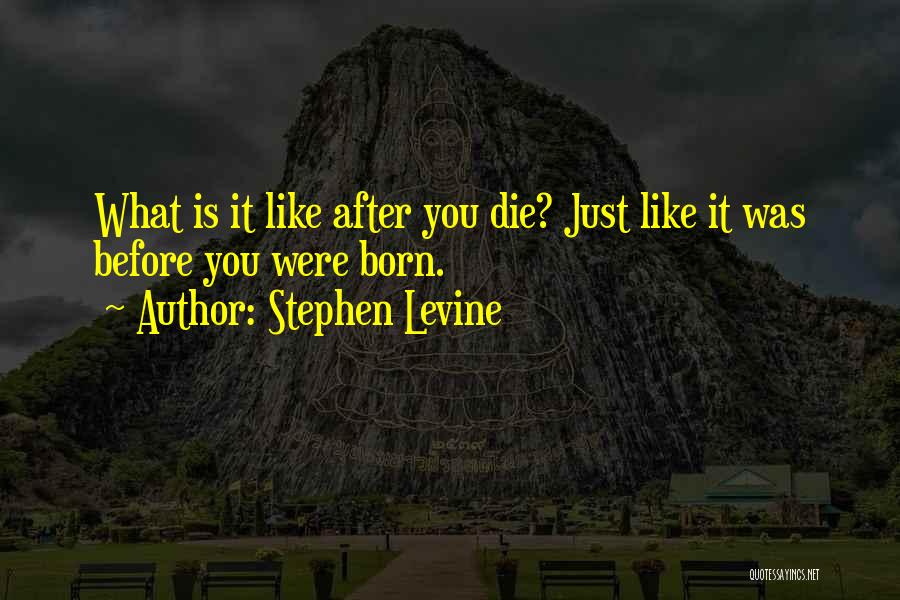 Stephen Levine Quotes 747598