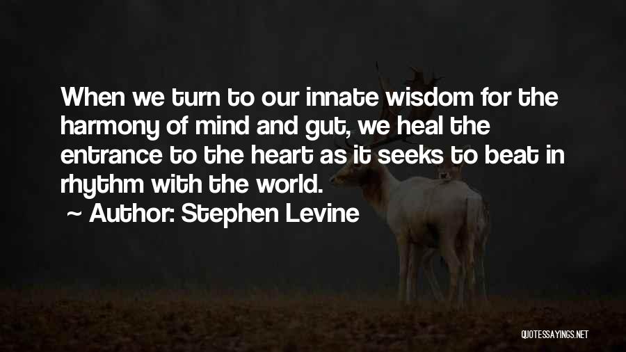 Stephen Levine Quotes 78103