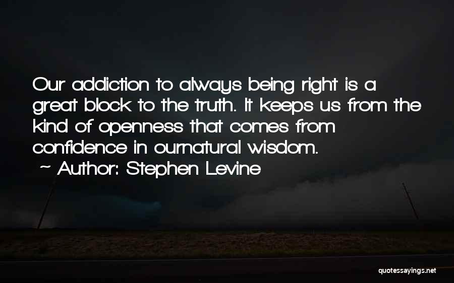 Stephen Levine Quotes 919607