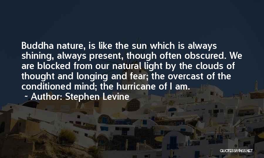 Stephen Levine Quotes 93355