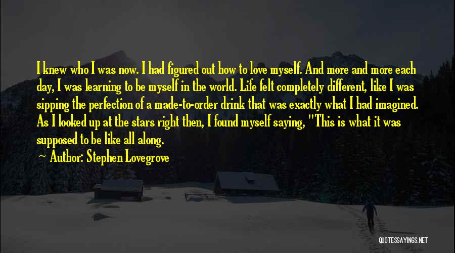 Stephen Lovegrove Quotes 2210745