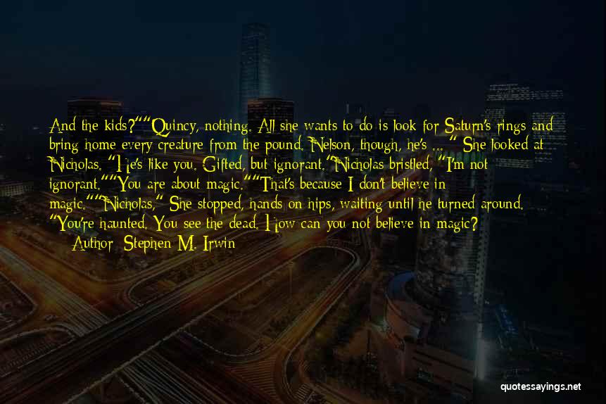 Stephen M. Irwin Quotes 2011227