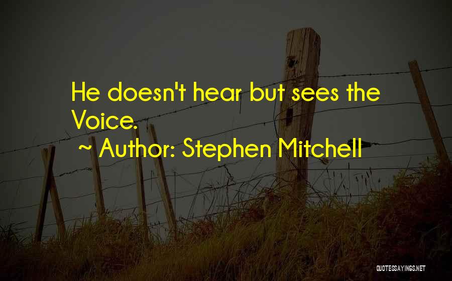 Stephen Mitchell Quotes 1603725