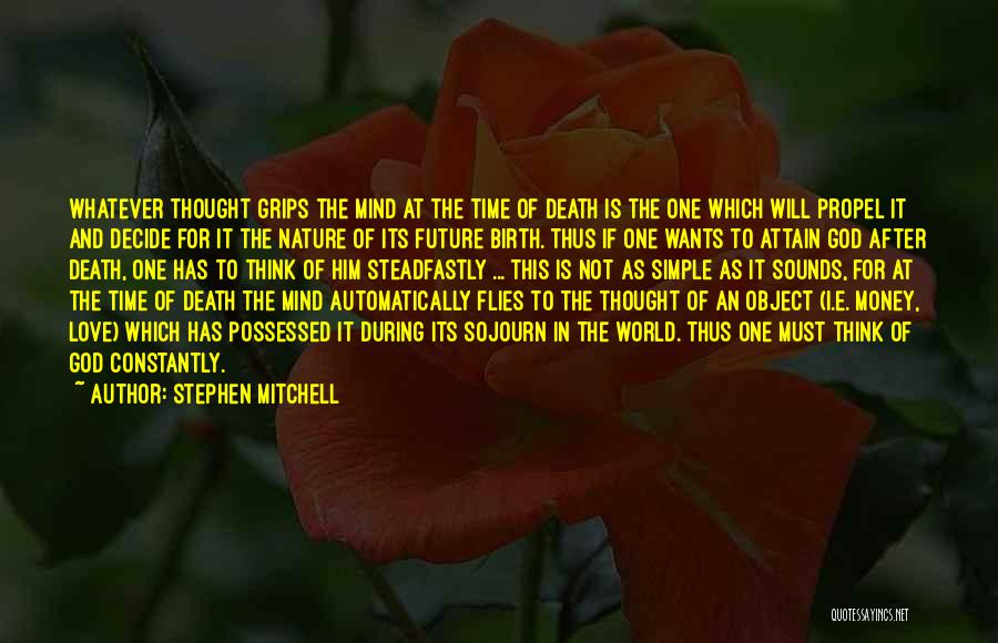 Stephen Mitchell Quotes 783083