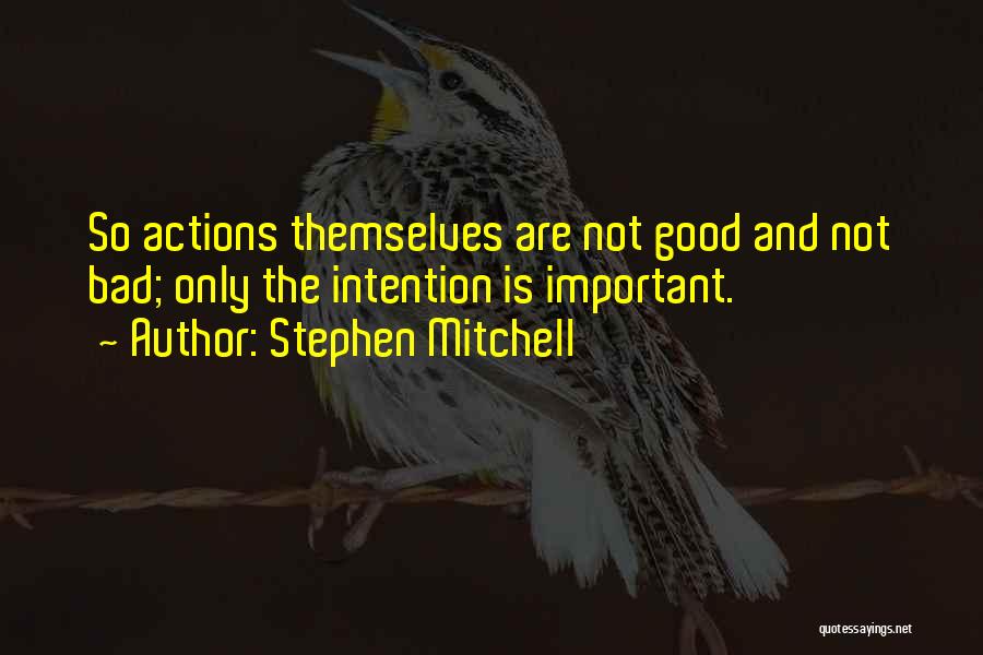 Stephen Mitchell Quotes 839063