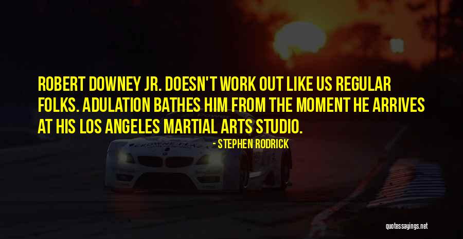 Stephen Rodrick Quotes 965804