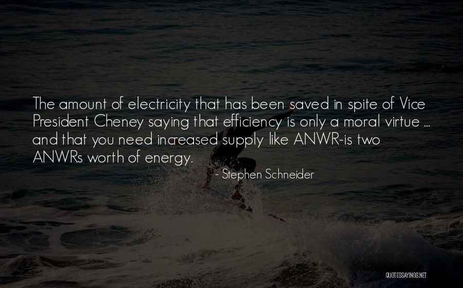 Stephen Schneider Quotes 1205278