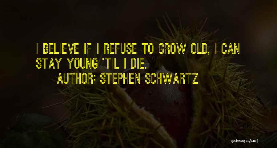 Stephen Schwartz Quotes 2221887