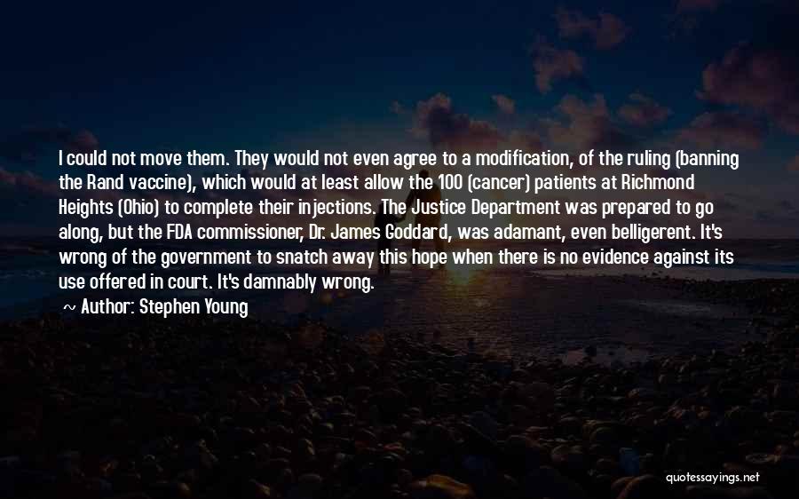 Stephen Young Quotes 2211079