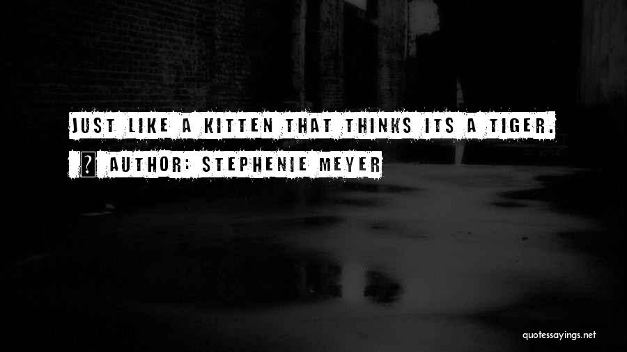 Stephenie Meyer Quotes 1211699