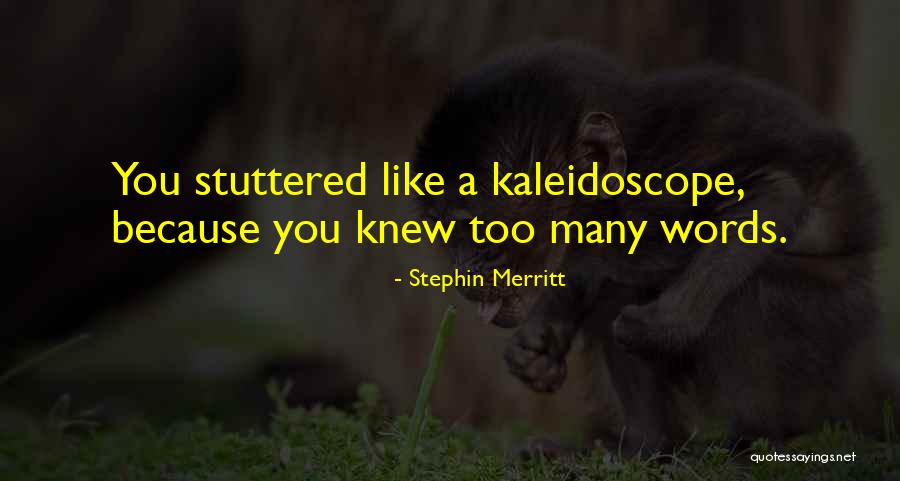 Stephin Merritt Quotes 596320 Stephin Merritt Quotes 596320