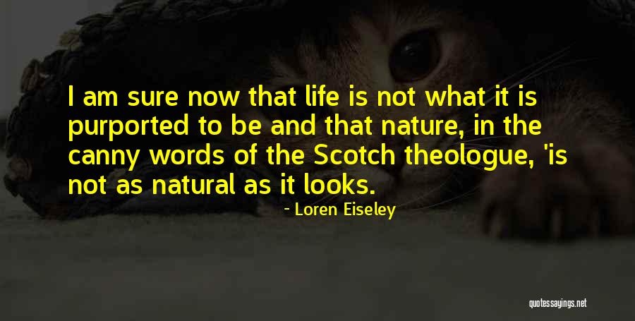 Stephs Quotes By Loren Eiseley Stephs Quotes By Loren Eiseley