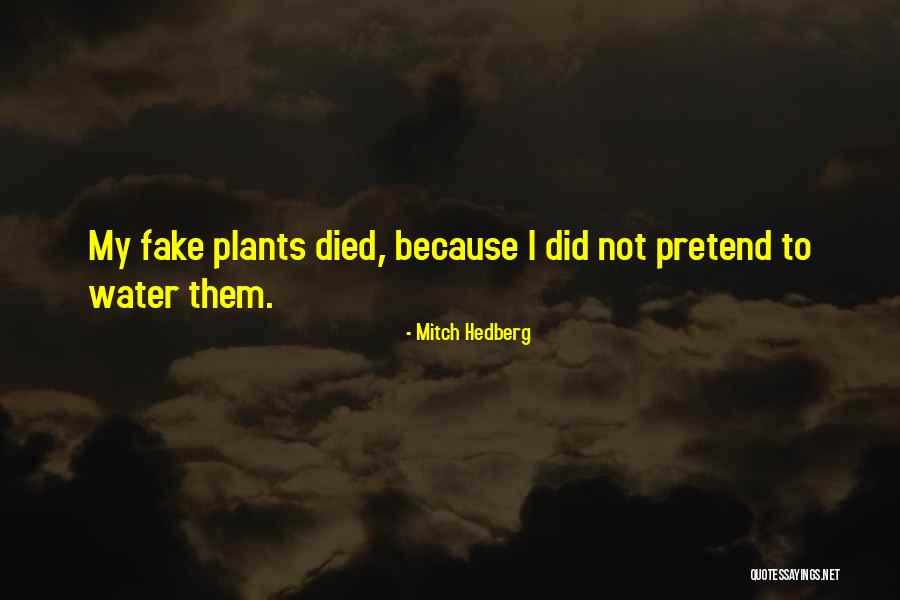 Stepinac High School Quotes By Mitch Hedberg Stepinac High School Quotes By Mitch Hedberg