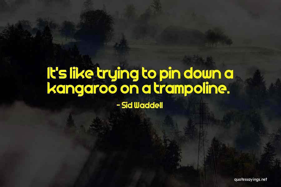 Steponkus Quotes By Sid Waddell Steponkus Quotes By Sid Waddell