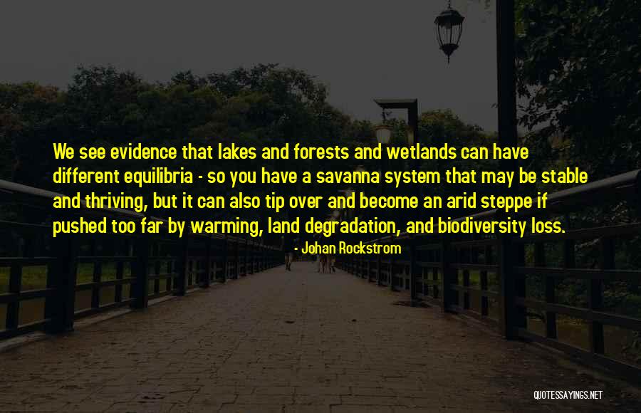 Steppe Quotes By Johan Rockstrom Steppe Quotes By Johan Rockstrom