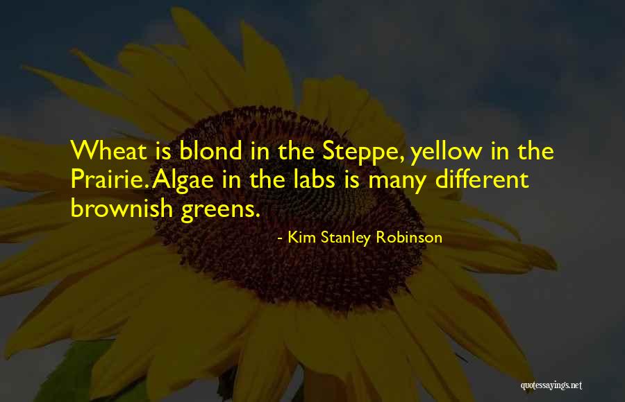 Steppe Quotes By Kim Stanley Robinson Steppe Quotes By Kim Stanley Robinson