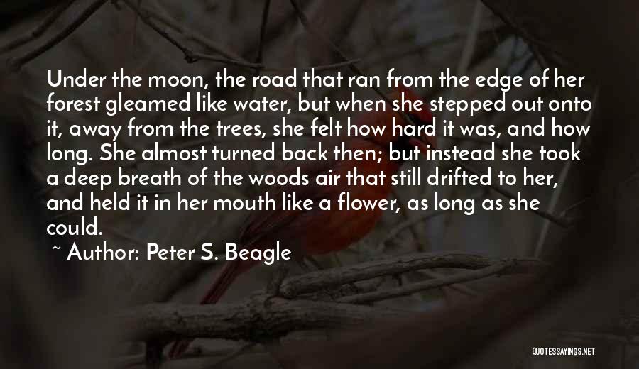 Stepped Back Quotes By Peter S. Beagle