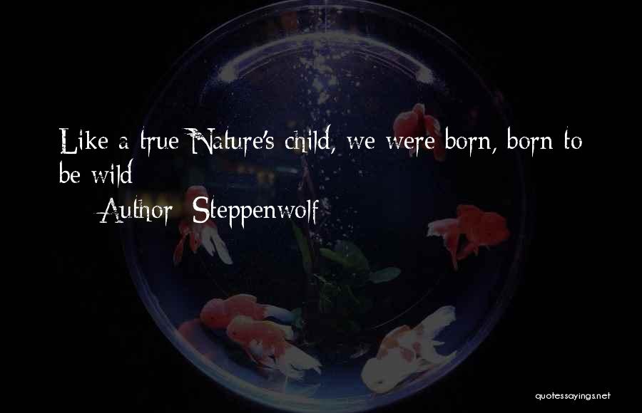 Steppenwolf Quotes 795661