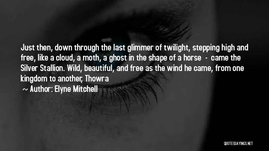 Stepping Down Quotes By Elyne Mitchell