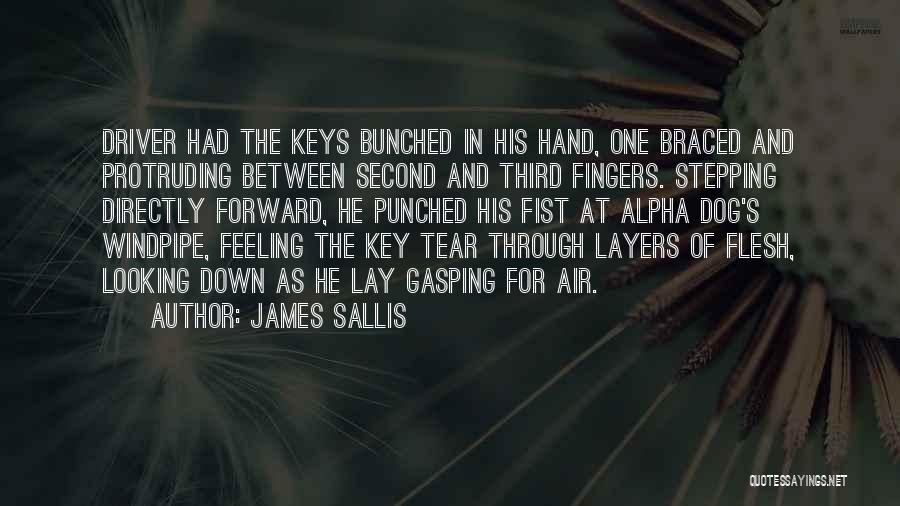 Stepping Down Quotes By James Sallis