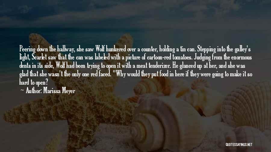 Stepping Down Quotes By Marissa Meyer