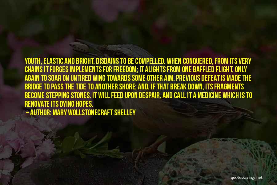 Stepping Down Quotes By Mary Wollstonecraft Shelley