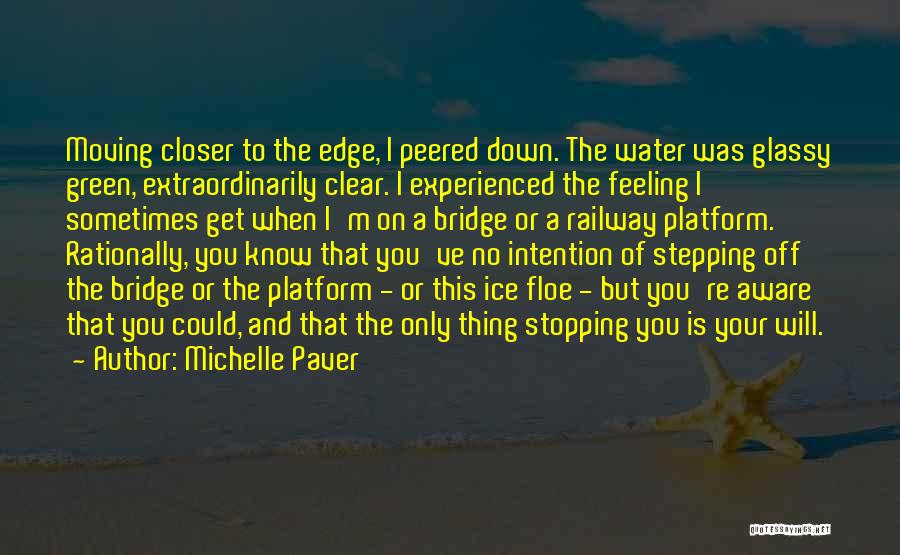 Stepping Down Quotes By Michelle Paver