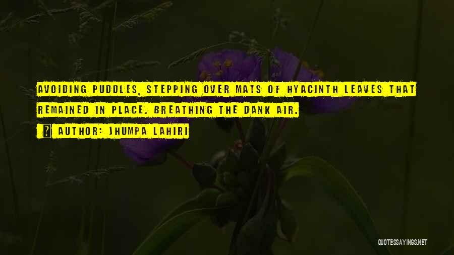 Stepping In Puddles Quotes By Jhumpa Lahiri