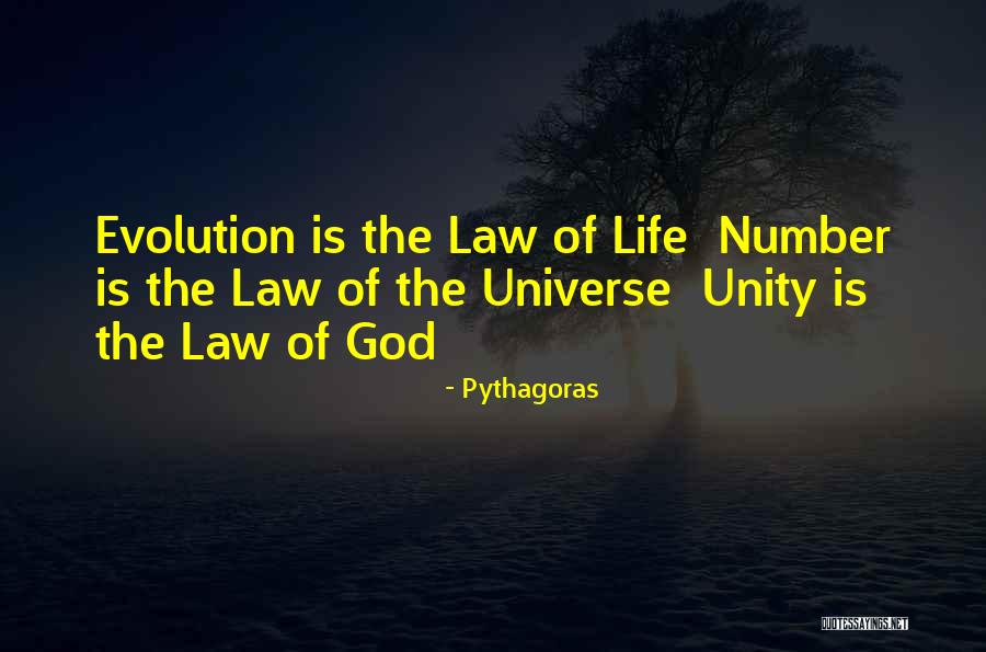 Stepping Into A New Territory Quotes By Pythagoras Stepping Into A New Territory Quotes By Pythagoras