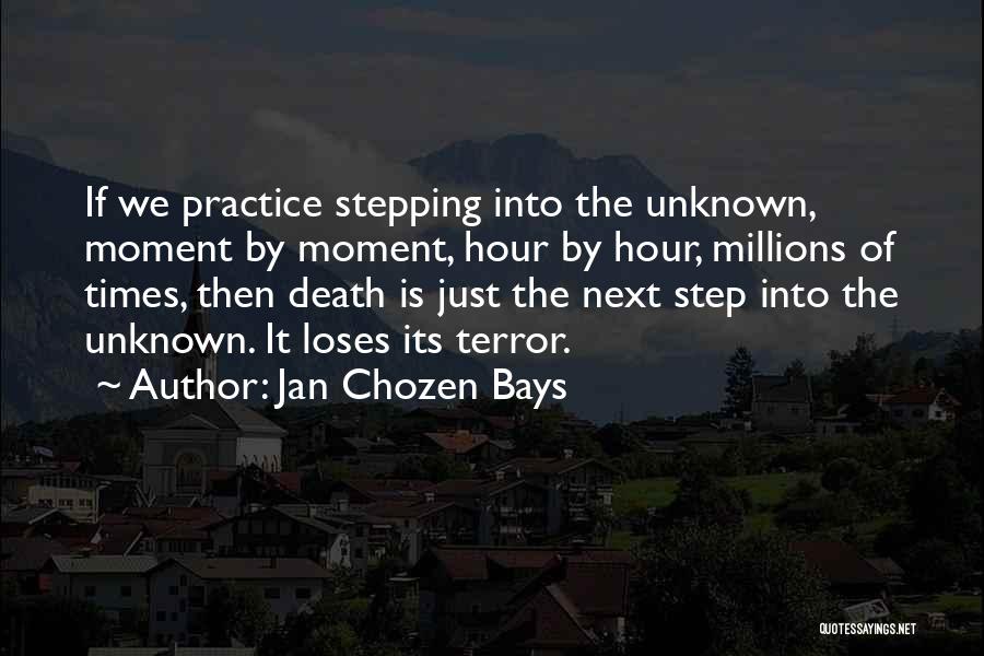 Stepping Into The Unknown Quotes By Jan Chozen Bays