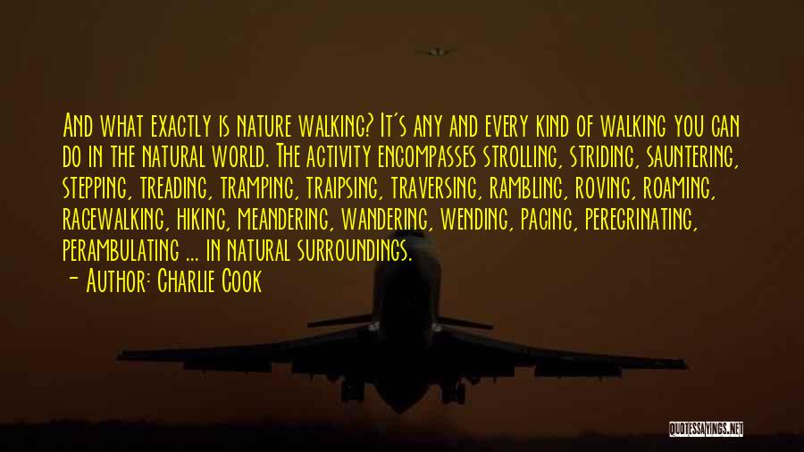 Stepping Out Into The World Quotes By Charlie Cook