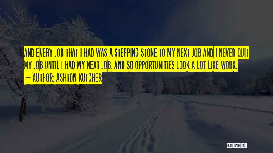 Stepping Stone Quotes By Ashton Kutcher