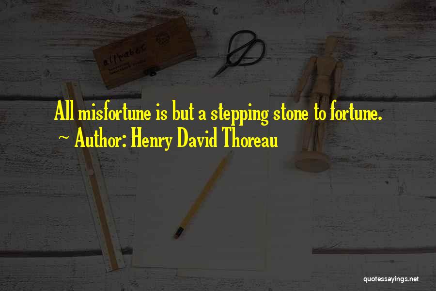 Stepping Stone Quotes By Henry David Thoreau