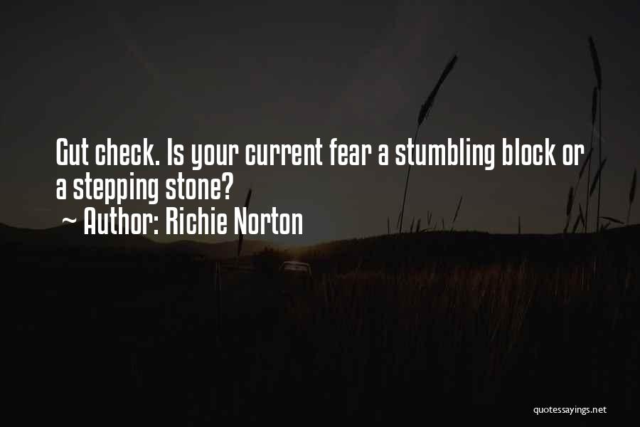Stepping Stone Quotes By Richie Norton