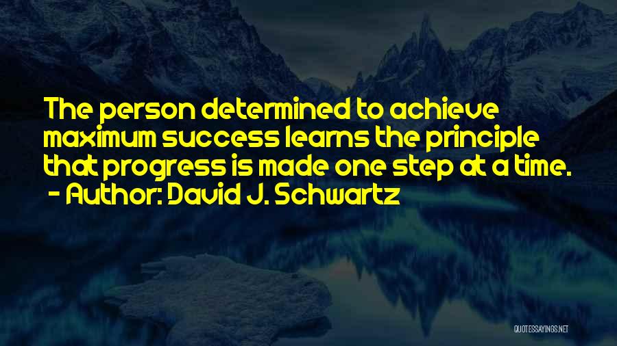 Steps To Success Quotes By David J. Schwartz