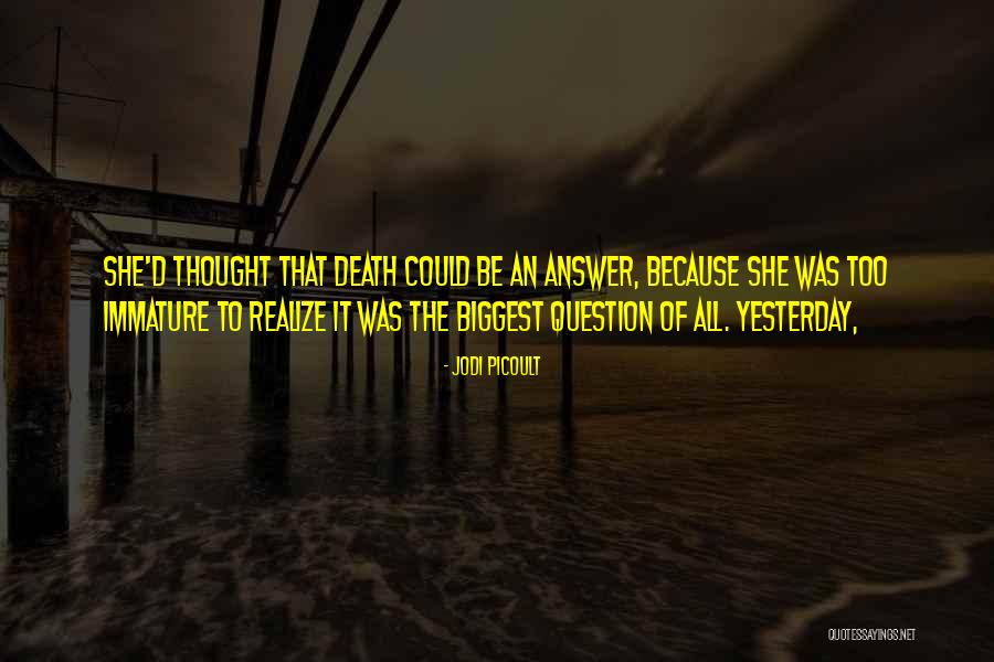 Sterben Sao Quotes By Jodi Picoult Sterben Sao Quotes By Jodi Picoult