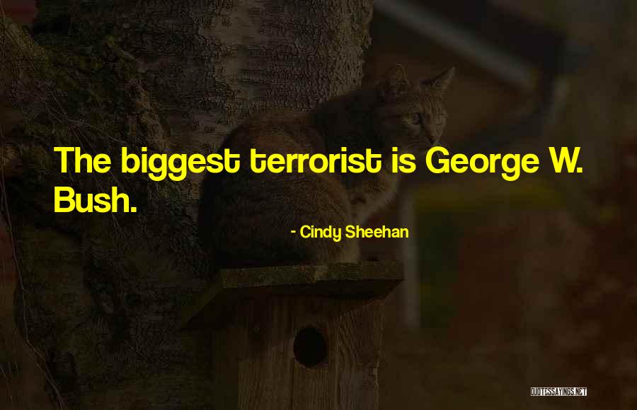 Stereophonic Quotes By Cindy Sheehan Stereophonic Quotes By Cindy Sheehan