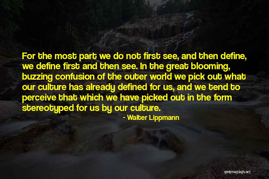 Stereotyped Quotes By Walter Lippmann Stereotyped Quotes By Walter Lippmann