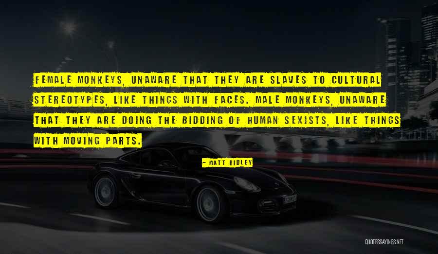 Stereotypes Quotes By Matt Ridley Stereotypes Quotes By Matt Ridley