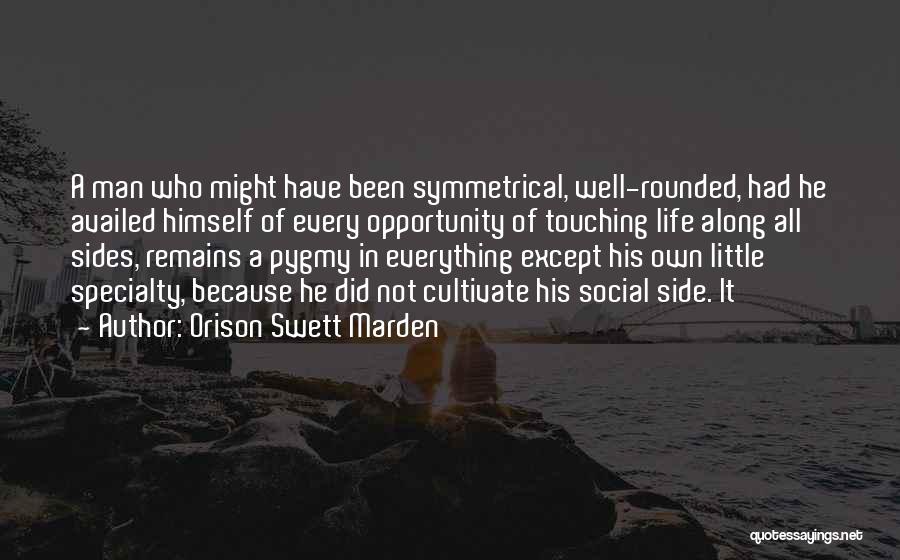 Stermer Auction Quotes By Orison Swett Marden